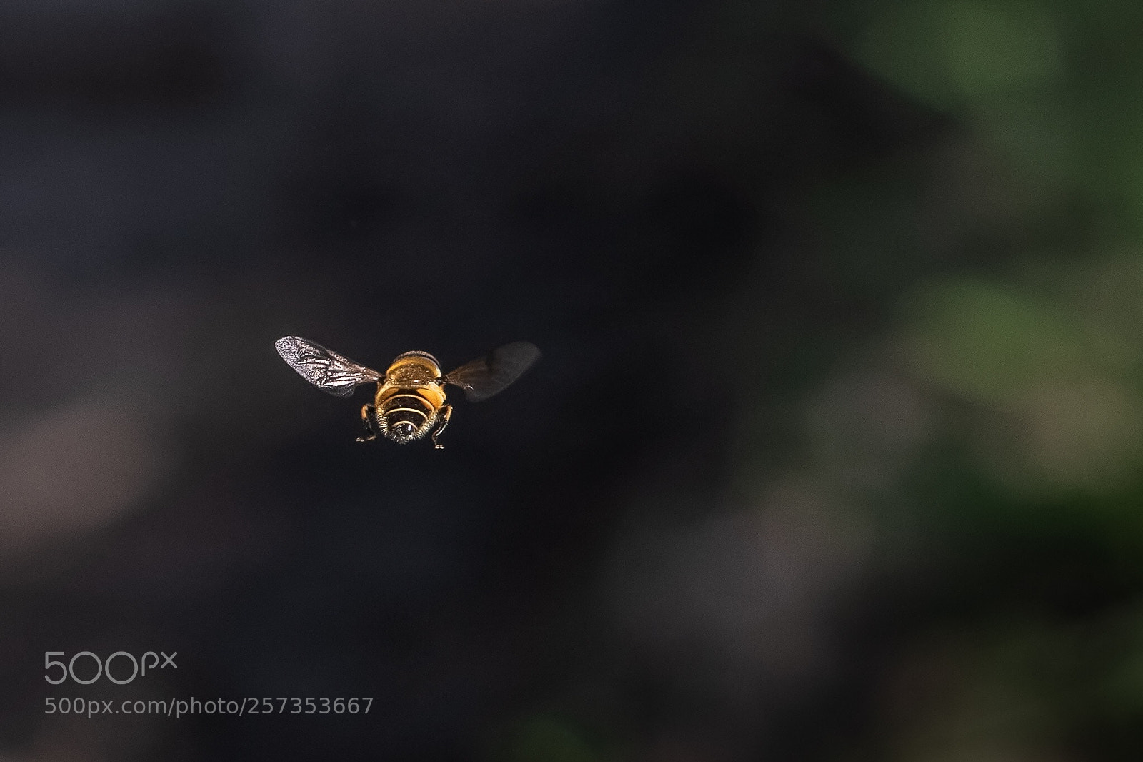 Canon EOS 7D Mark II sample photo. In flight photography