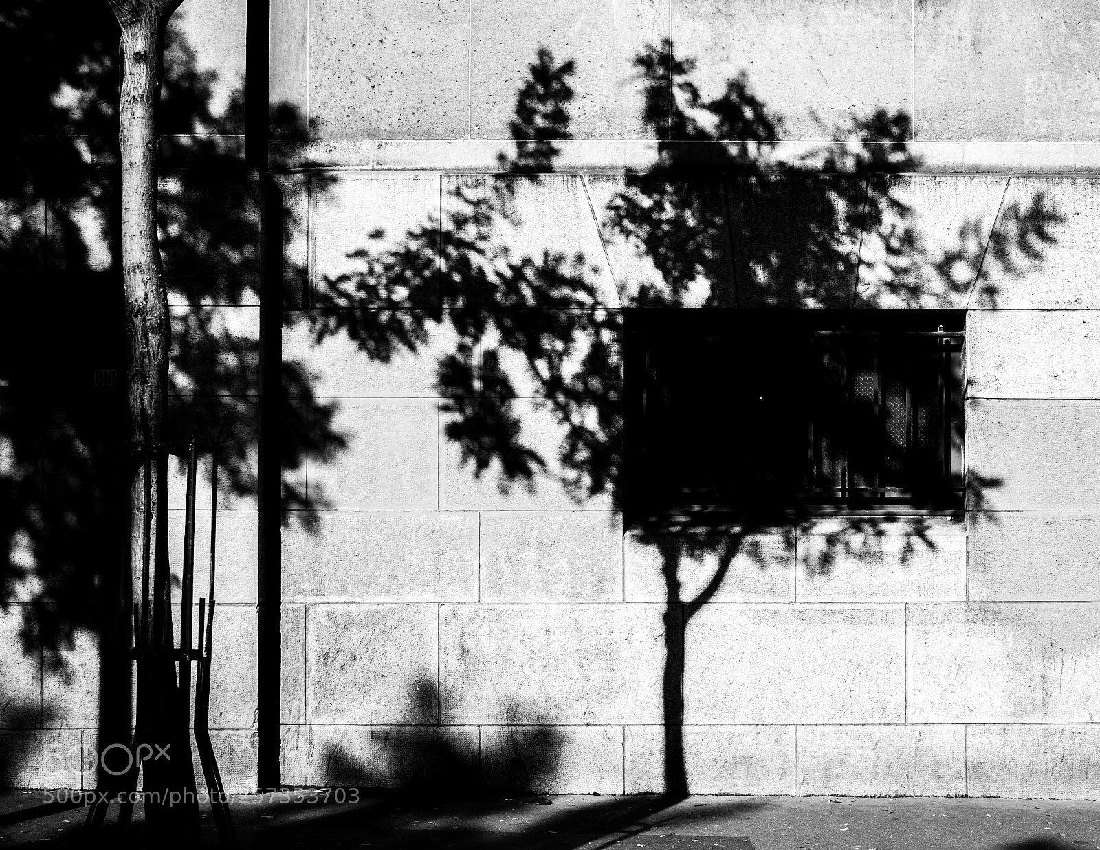 Pentax K-1 sample photo. Untitled photography