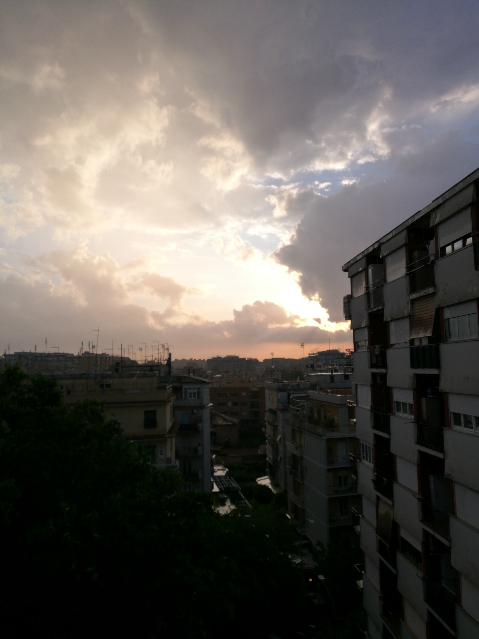 HUAWEI Honor 8 sample photo. After rain photography