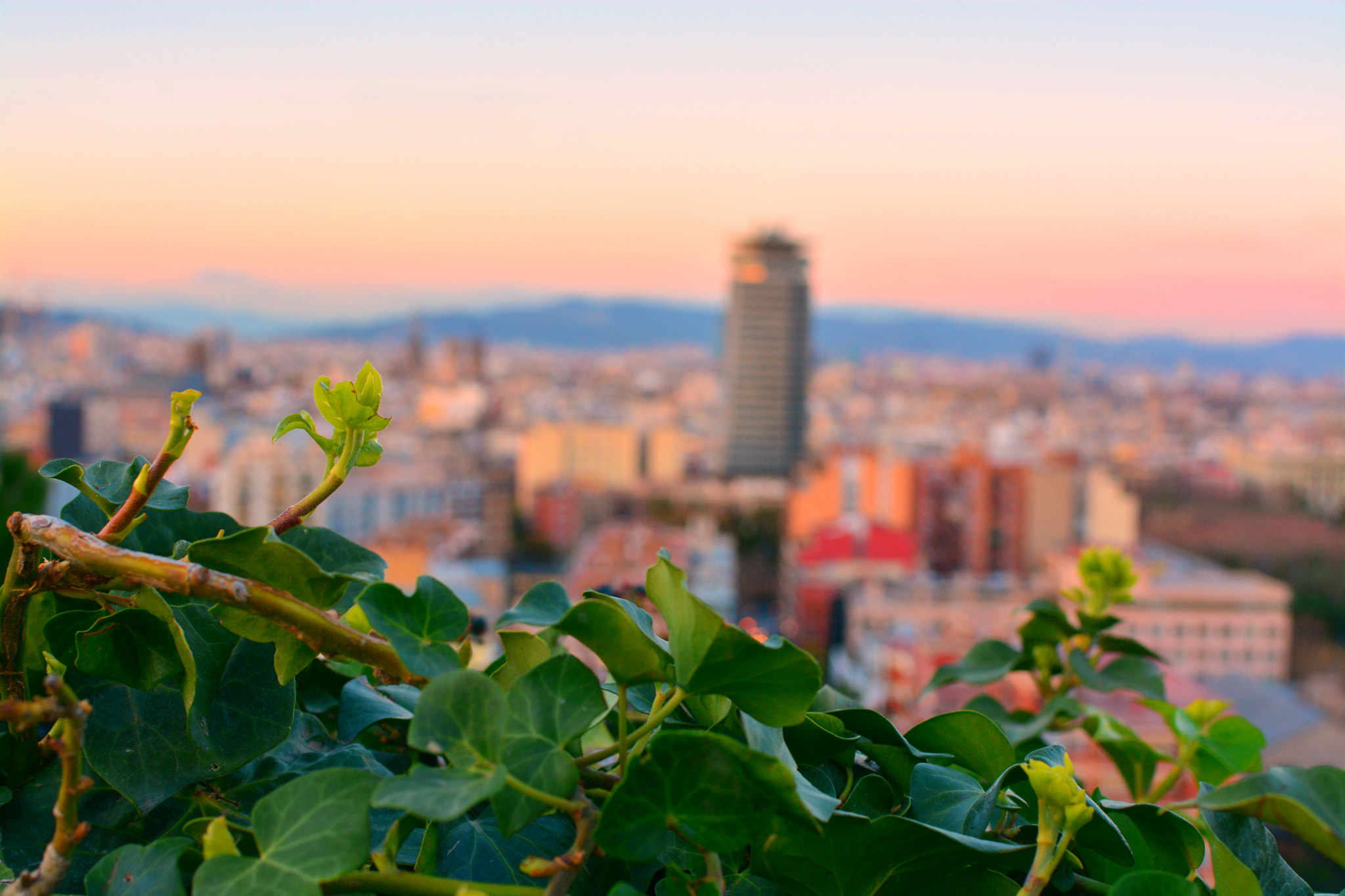 Nikon D7100 + Nikon AF-S DX Nikkor 35mm F1.8G sample photo. Barcelona photography