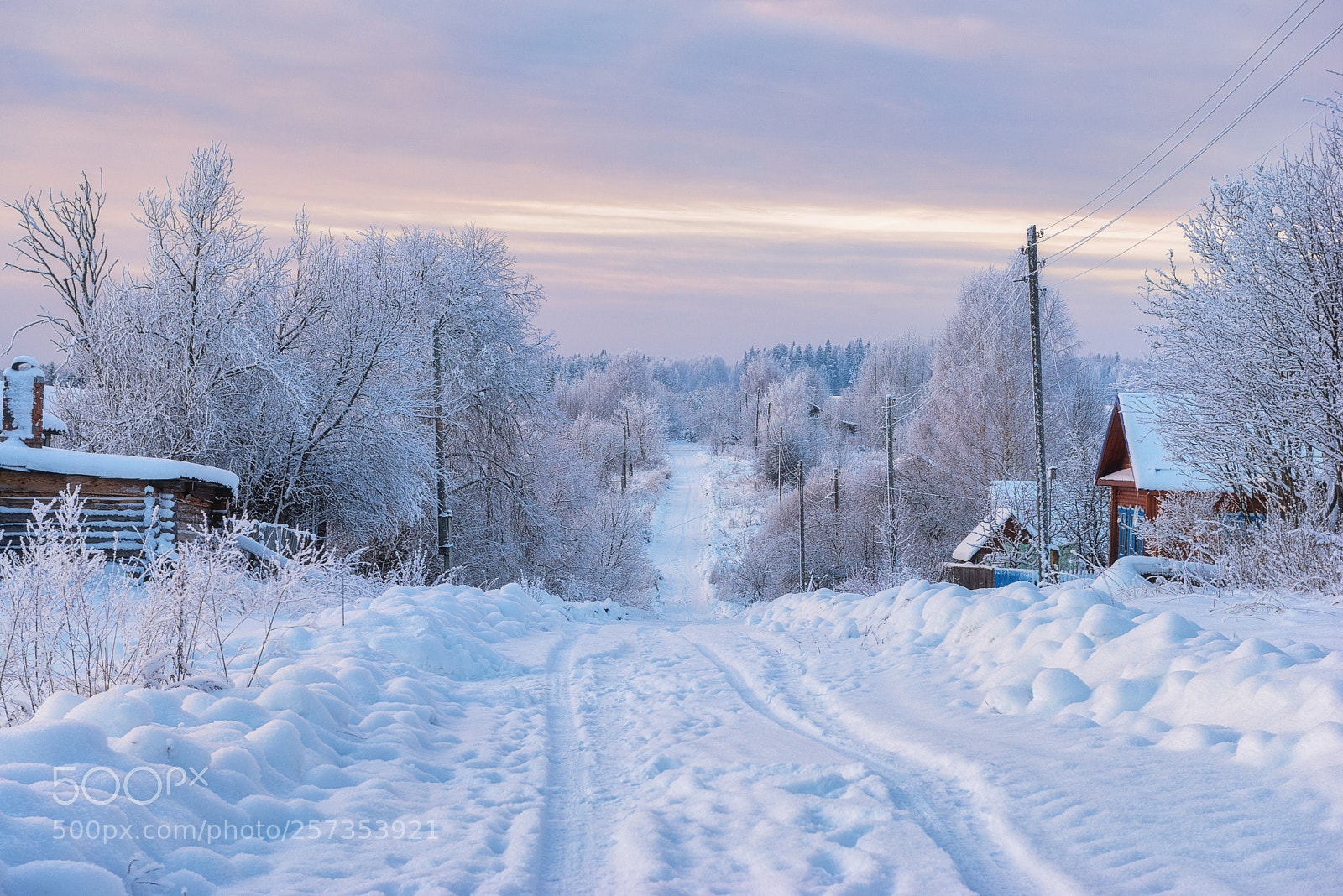 Nikon D610 sample photo. 919. winter in the photography