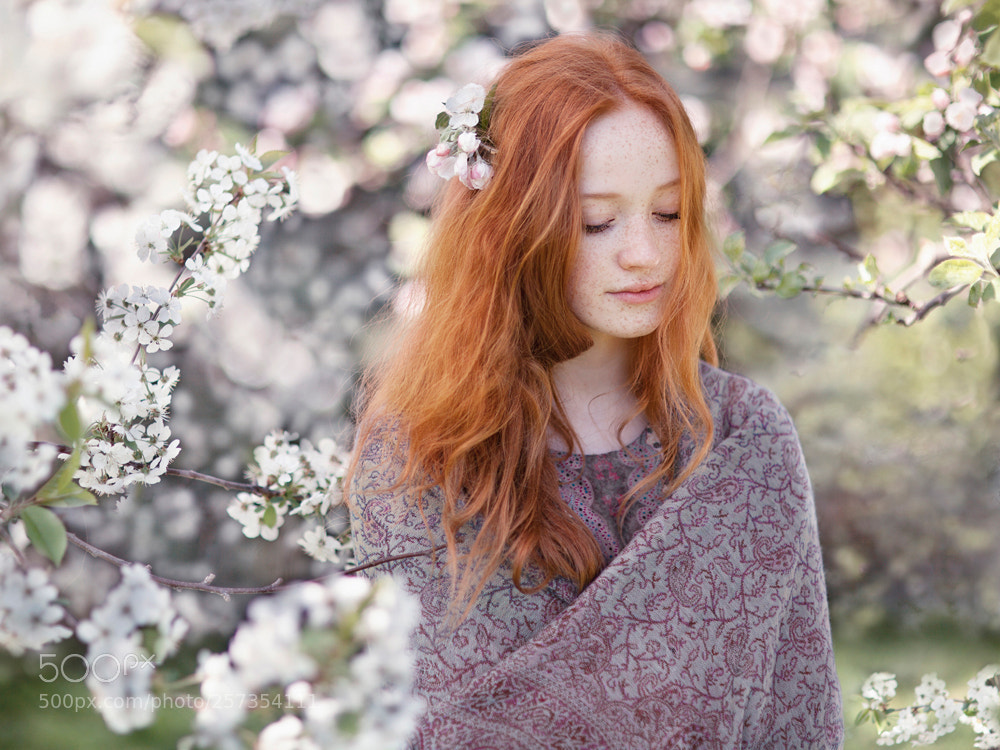 Canon EOS 5D Mark II sample photo. *** photography
