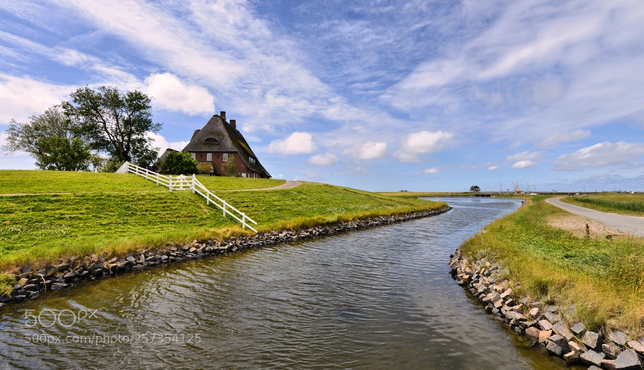 Nikon D800 sample photo. Hallig hooge photography