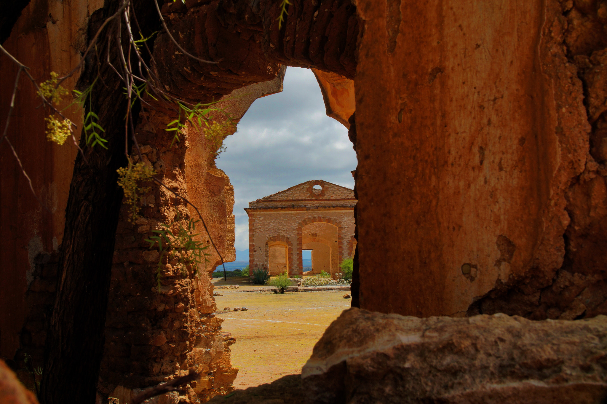 Sony Alpha a3500 sample photo. Beauty through decay photography