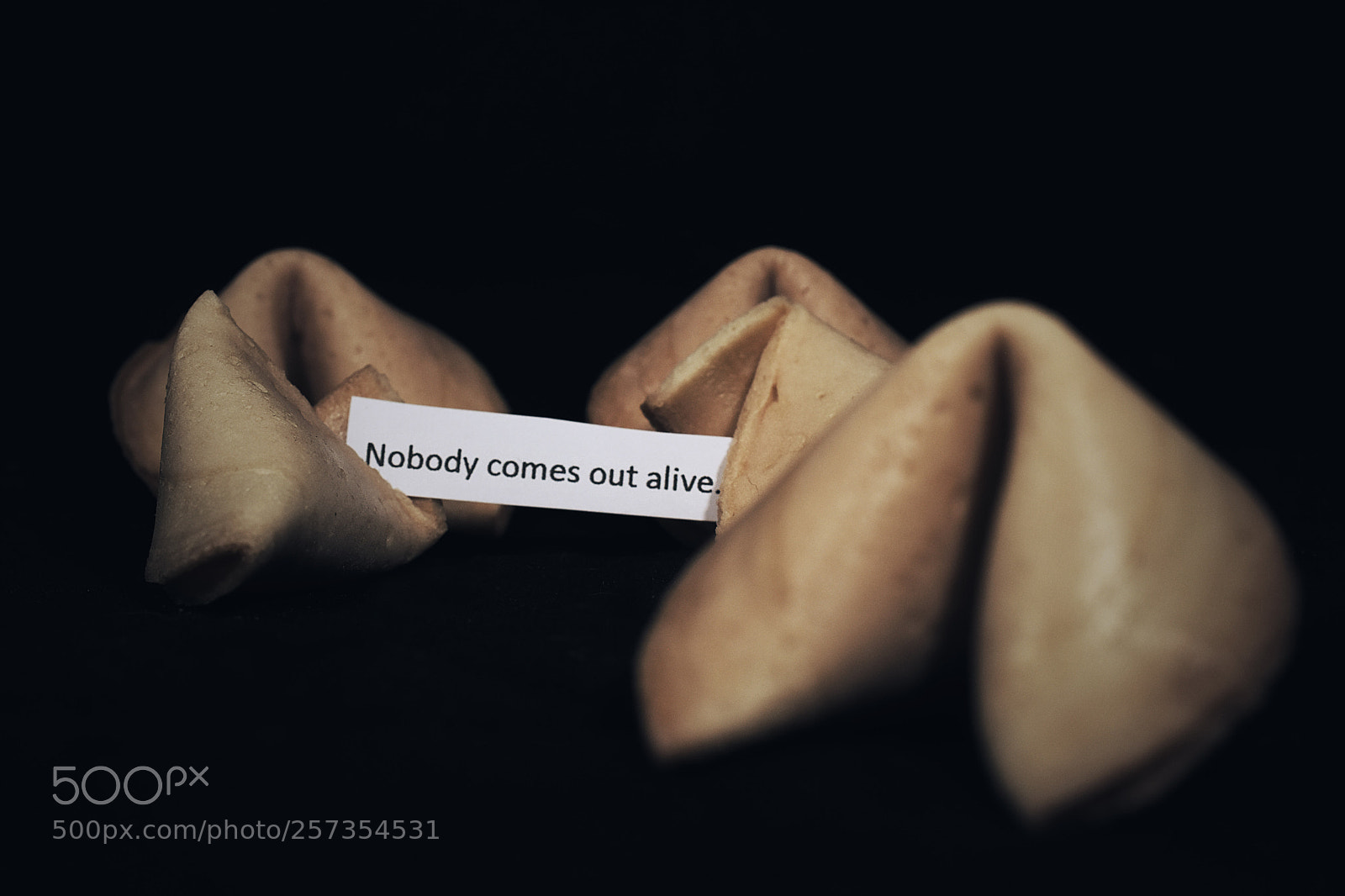 Nikon D7200 sample photo. Reality cookie photography