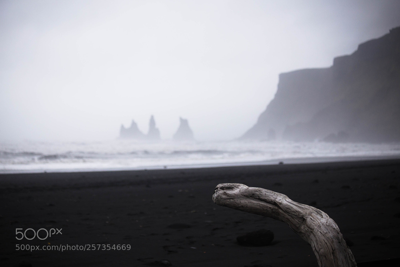 Canon EOS 6D sample photo. Driftwood overlooking vik, iceland photography