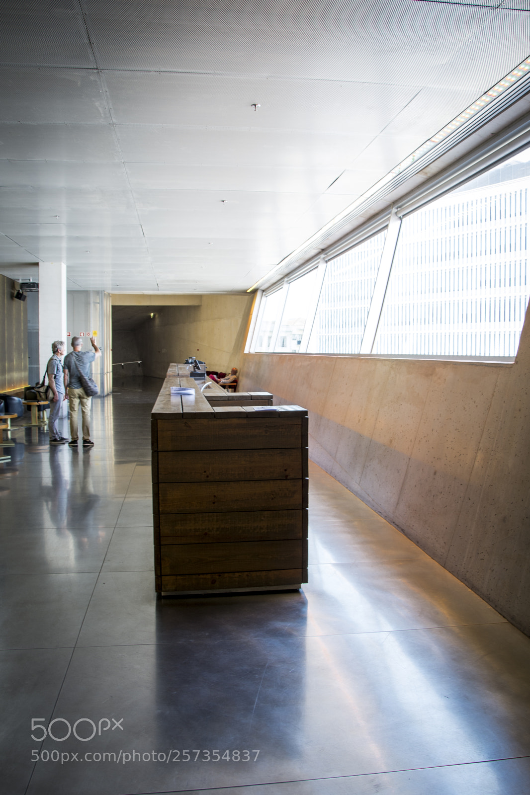 Nikon D7100 sample photo. Casa da música photography