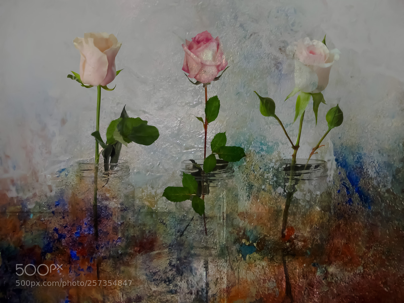 Canon PowerShot SX20 IS sample photo. Fantasy with roses photography
