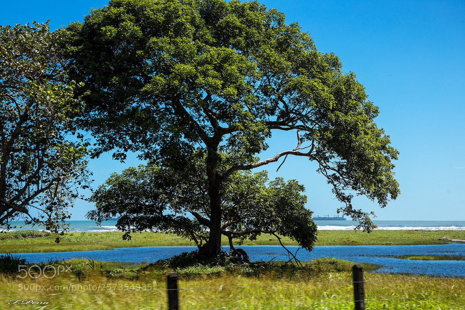 Canon EOS 6D sample photo. Westfalia, costa rica photography
