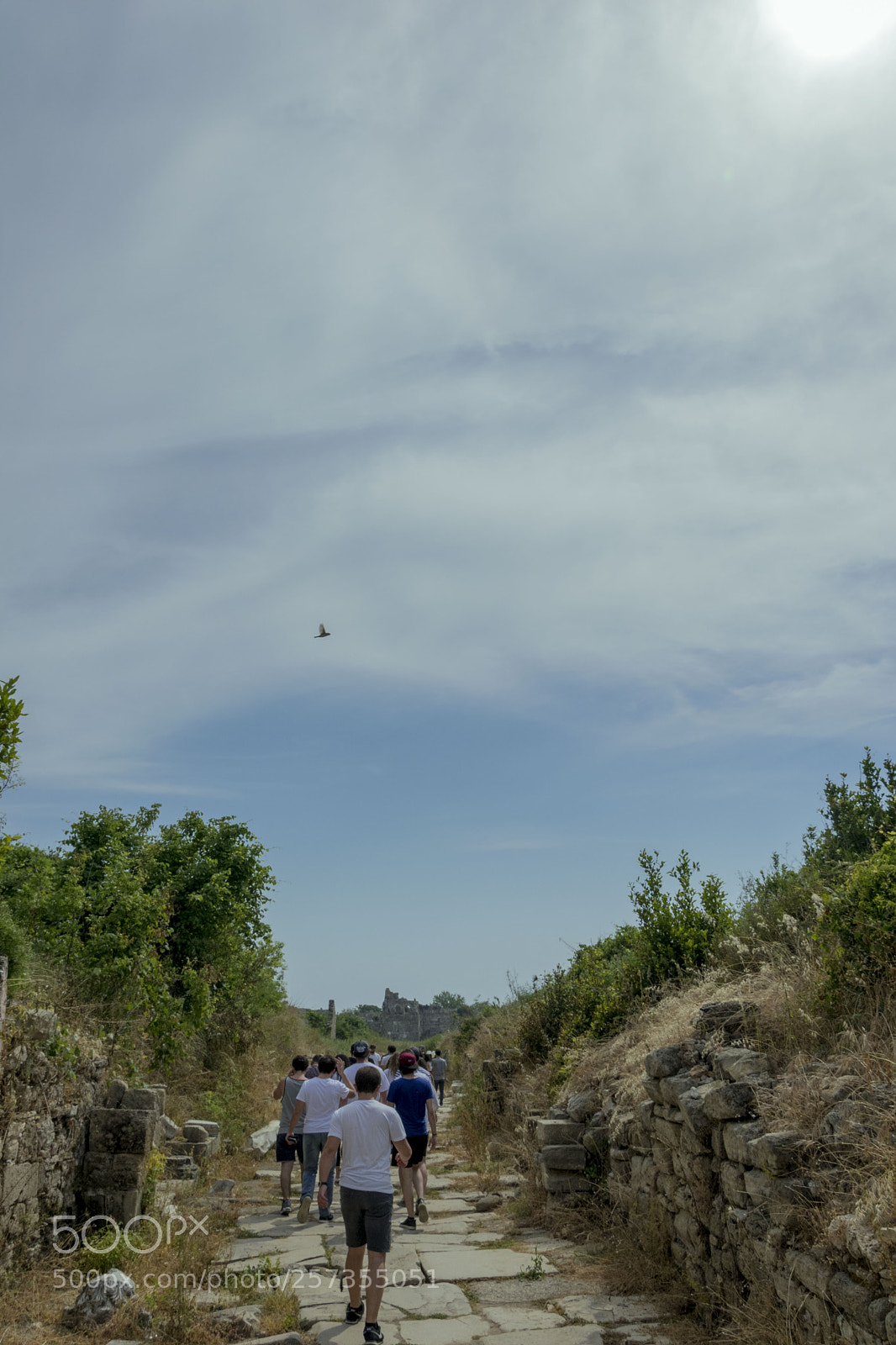 Nikon D5300 sample photo. Under the sky photography