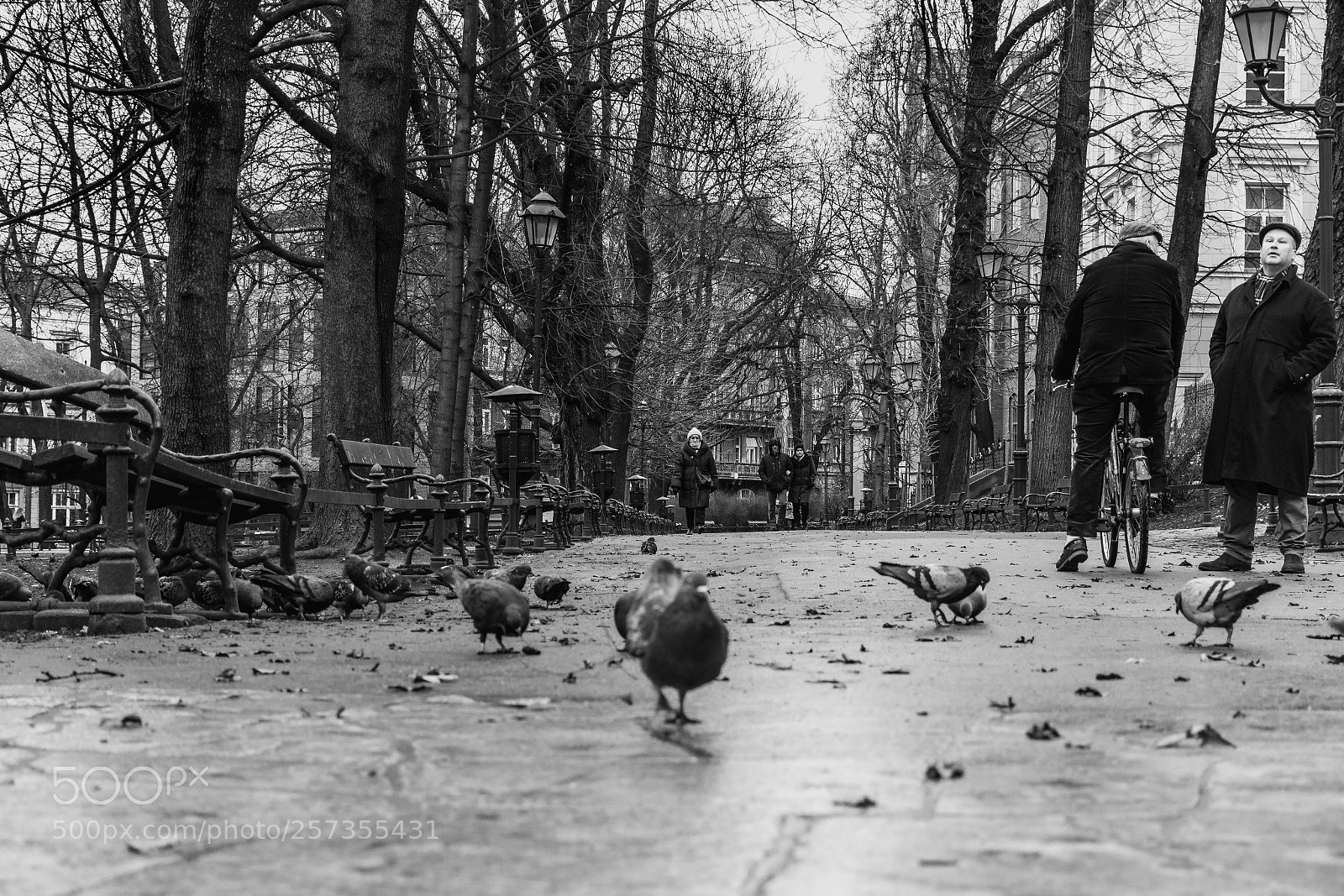 Nikon D7100 sample photo. Streets of cracow (xx) photography