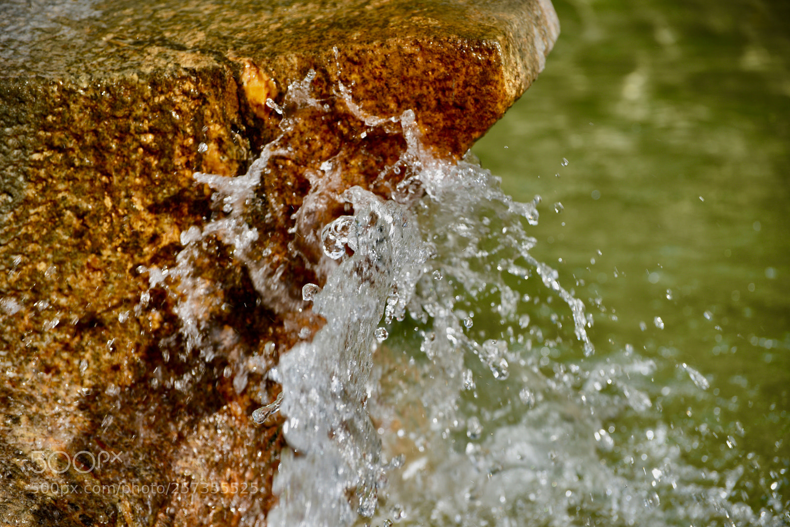 Nikon D750 sample photo. Untitled photography