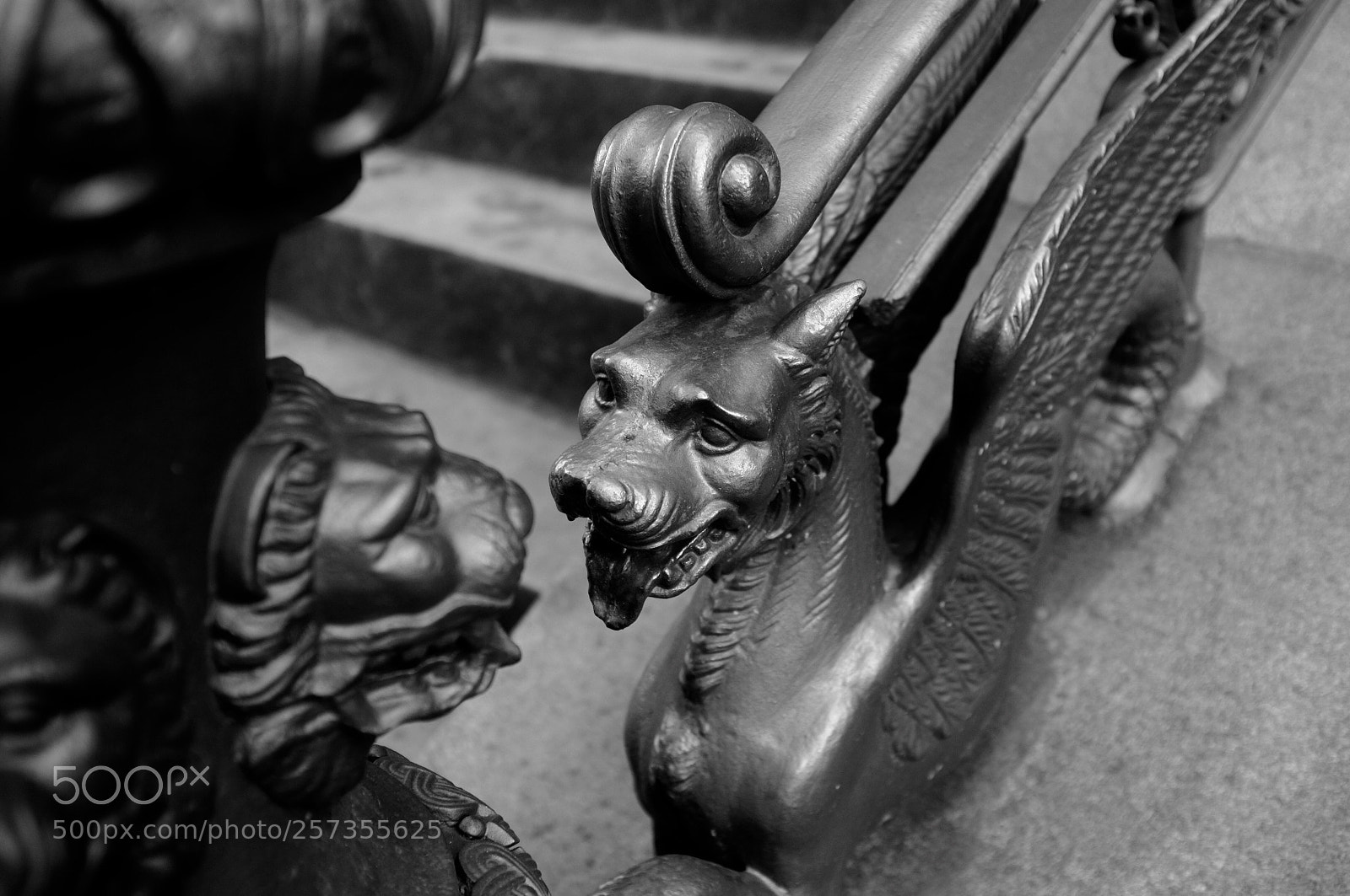 Fujifilm FinePix X100 sample photo. The lion & the dragon  photography