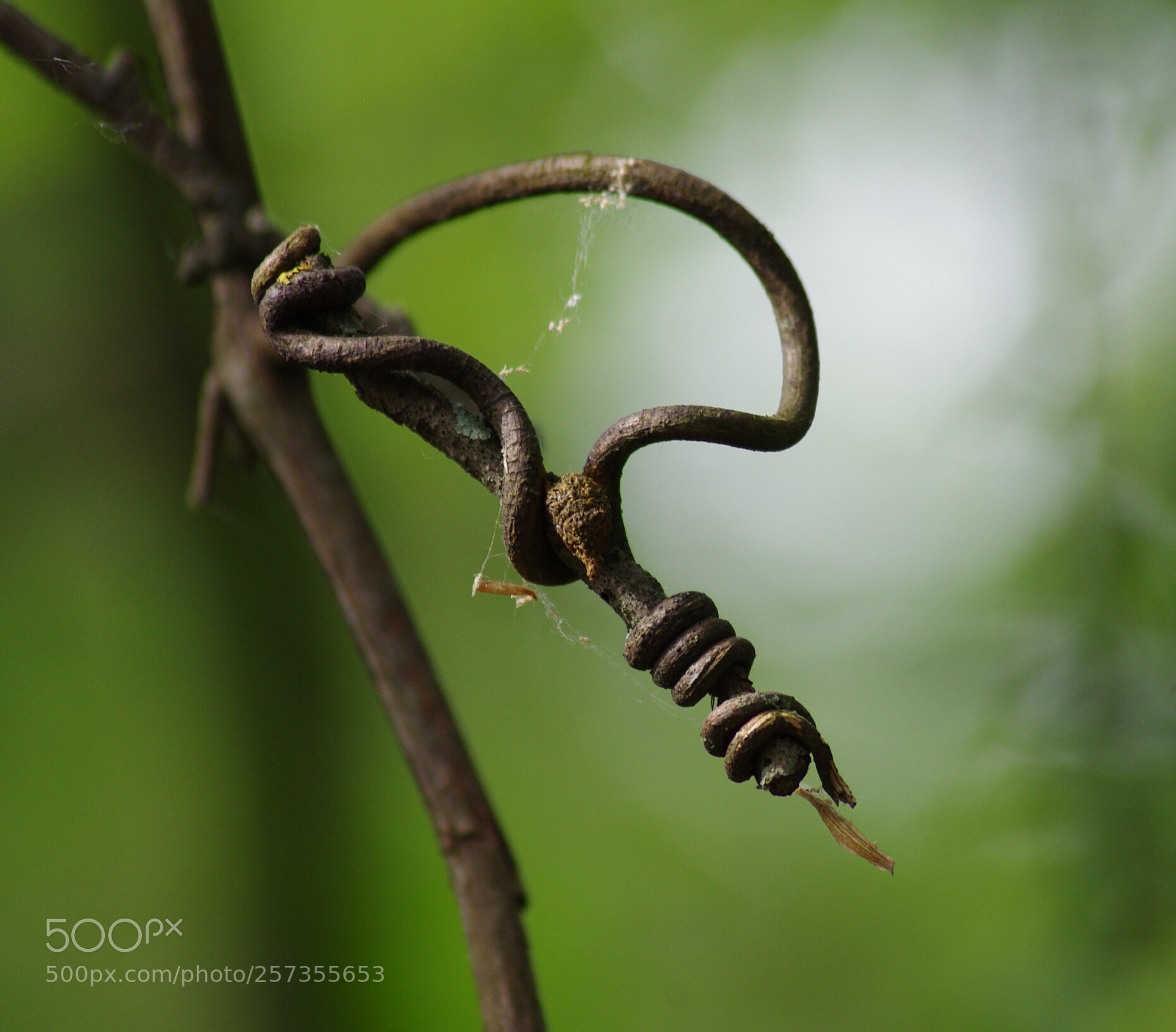 Pentax K-5 sample photo. Playing with molecules photography