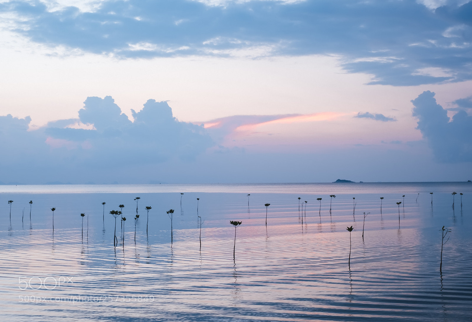 Fujifilm X-T20 sample photo. Tranquil evening photography