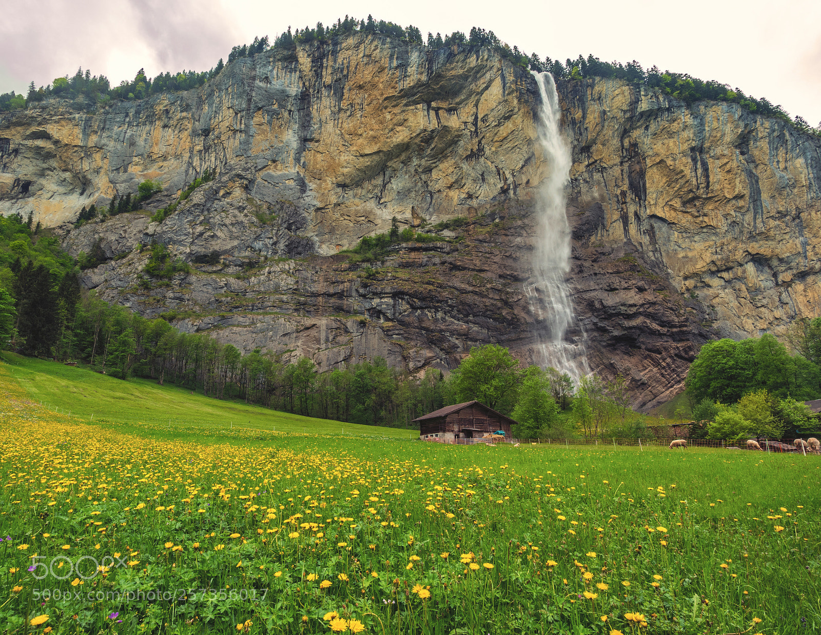 Olympus OM-D E-M5 II sample photo. Lauterbrunnen valley photography