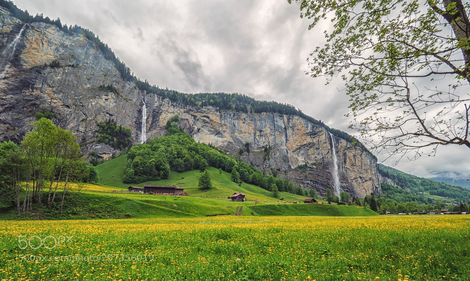Olympus OM-D E-M5 II sample photo. Lauterbrunnen valley photography