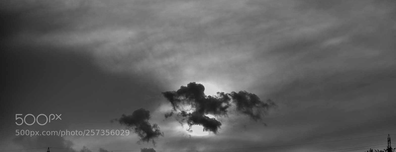 Nikon D5300 sample photo. Sunset in black and photography