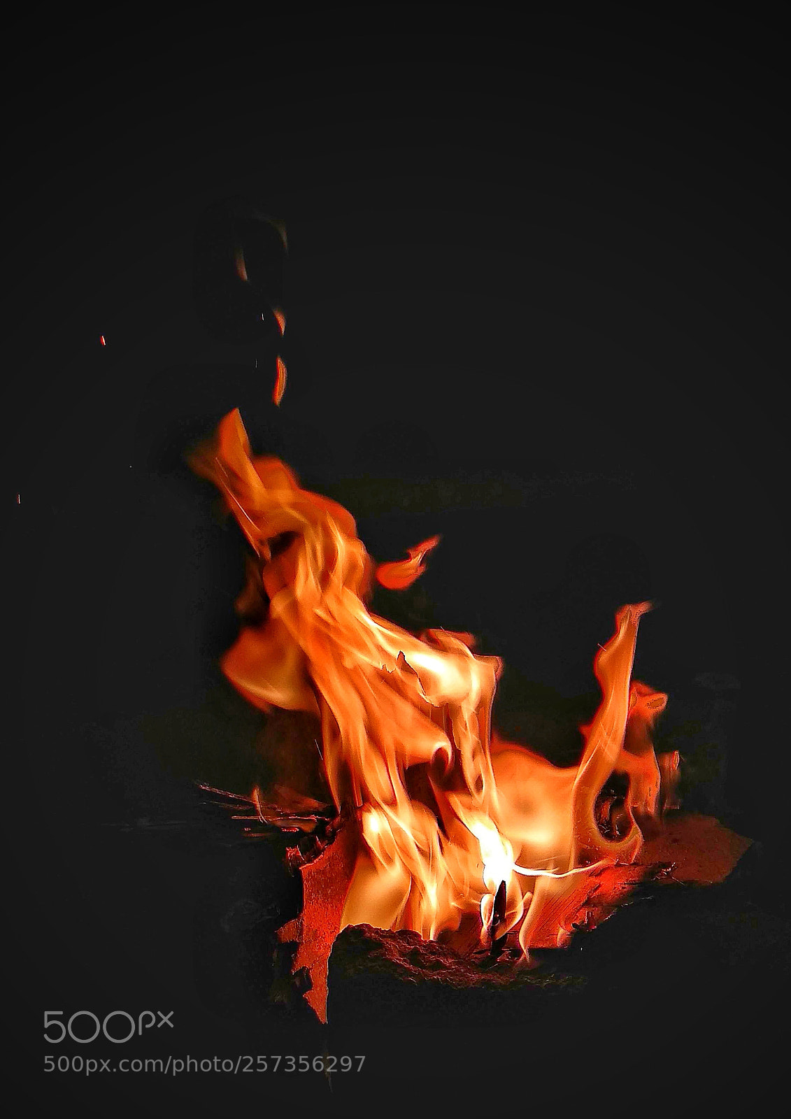 Xiaomi Mi A1 sample photo. Untitled photography