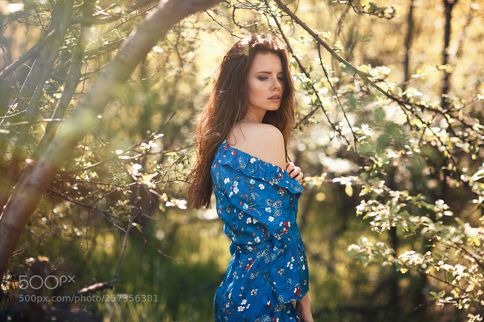 Canon EOS 5D Mark II sample photo. *** photography