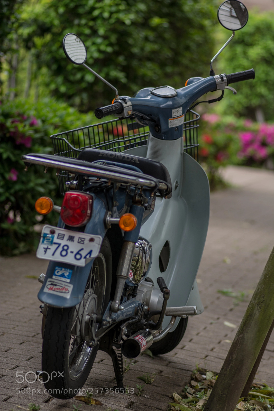 Nikon D7100 sample photo. Sarugakucho photography