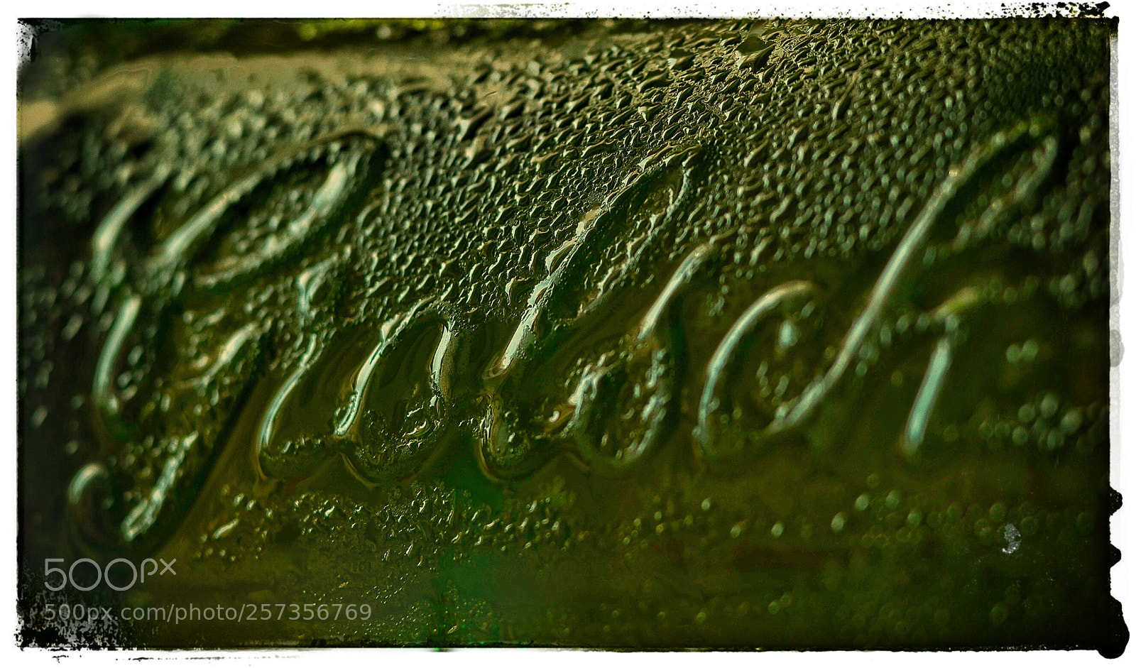 Nikon D7000 sample photo. I like... a little... photography
