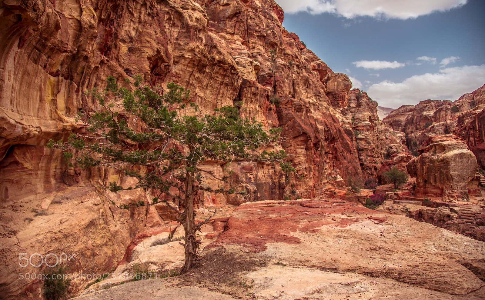 Nikon D750 sample photo. Petra, jordan photography