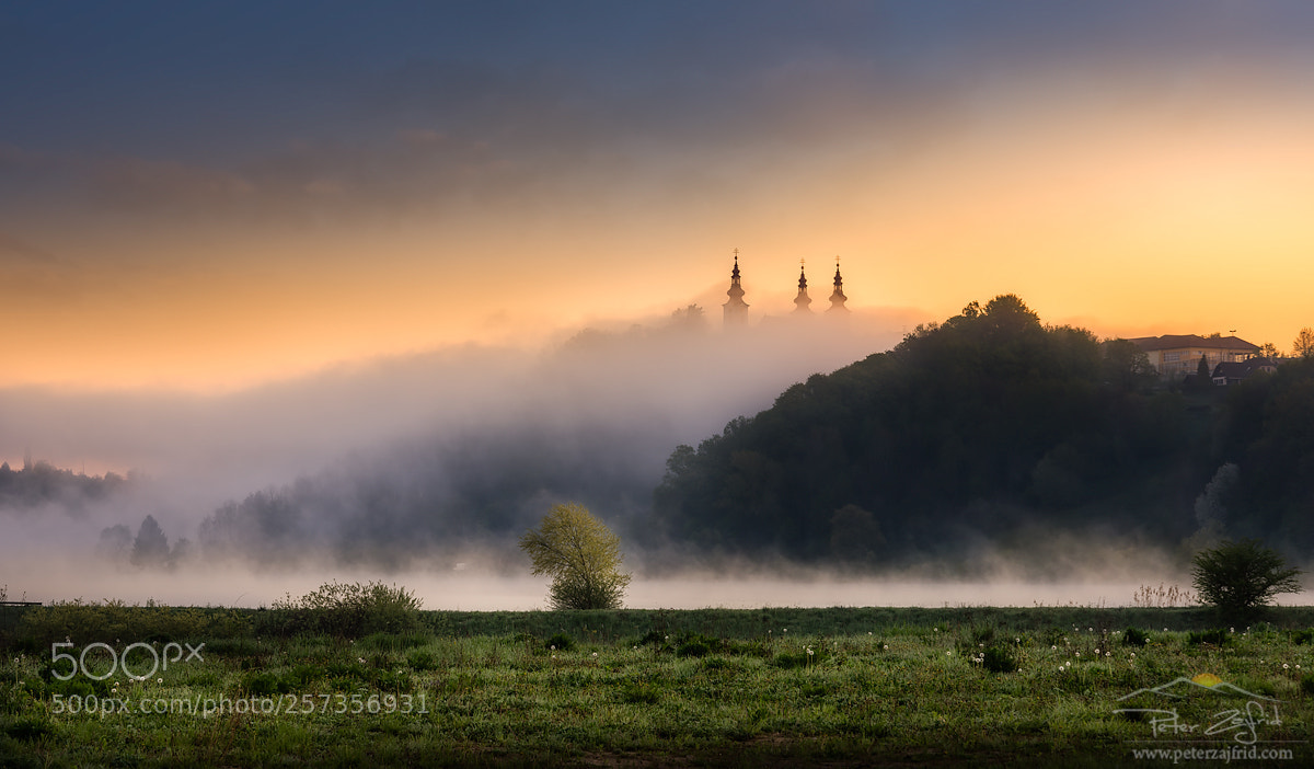 Nikon D810 sample photo. Misty lake photography