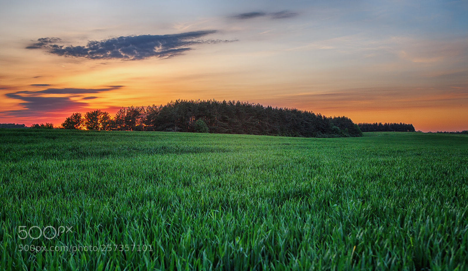 Canon EOS 6D sample photo. When the sun has photography