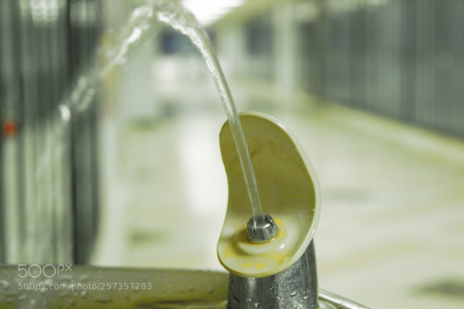 Nikon D3100 sample photo. Water photography