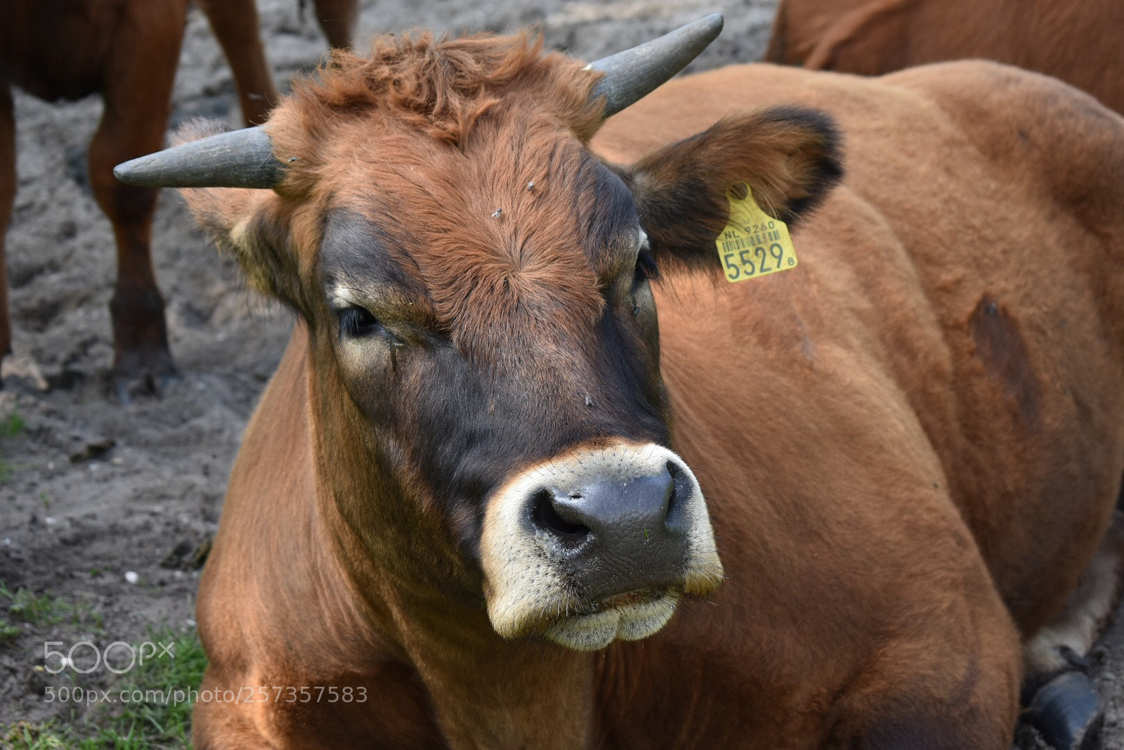 Nikon D3400 sample photo. Untitled photography