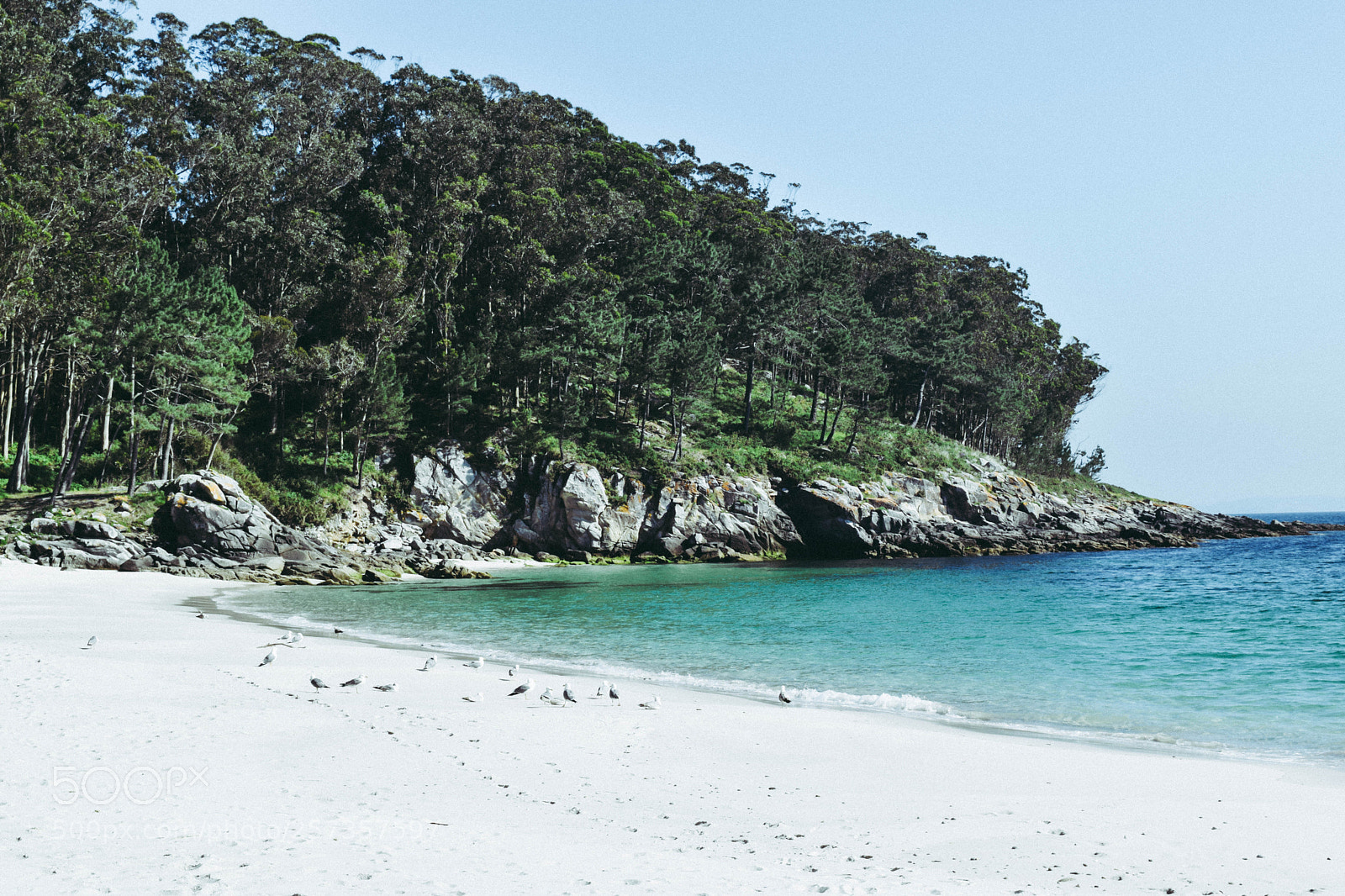 Nikon D5300 sample photo. Cies islands photography