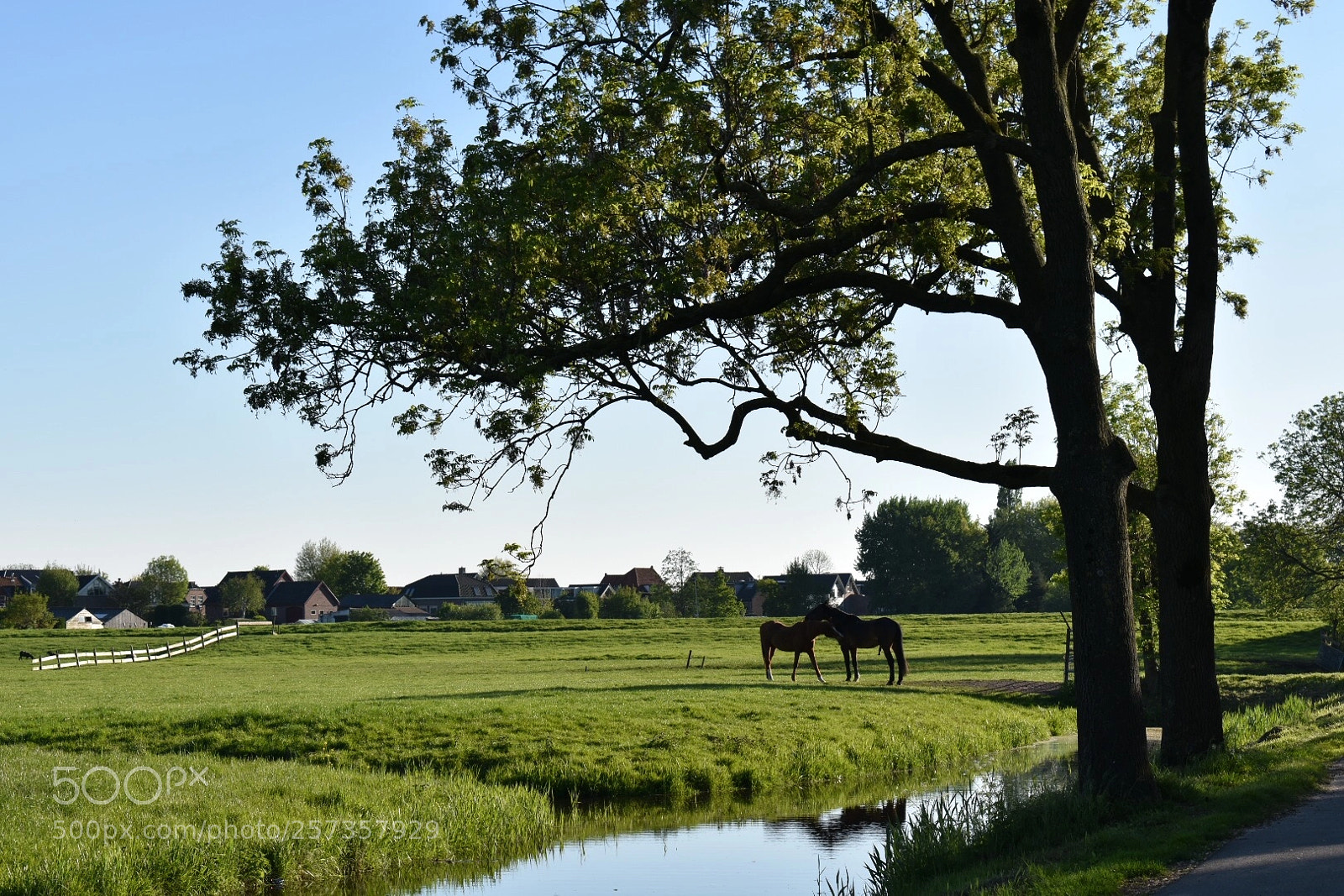 Nikon D3400 sample photo. Untitled photography