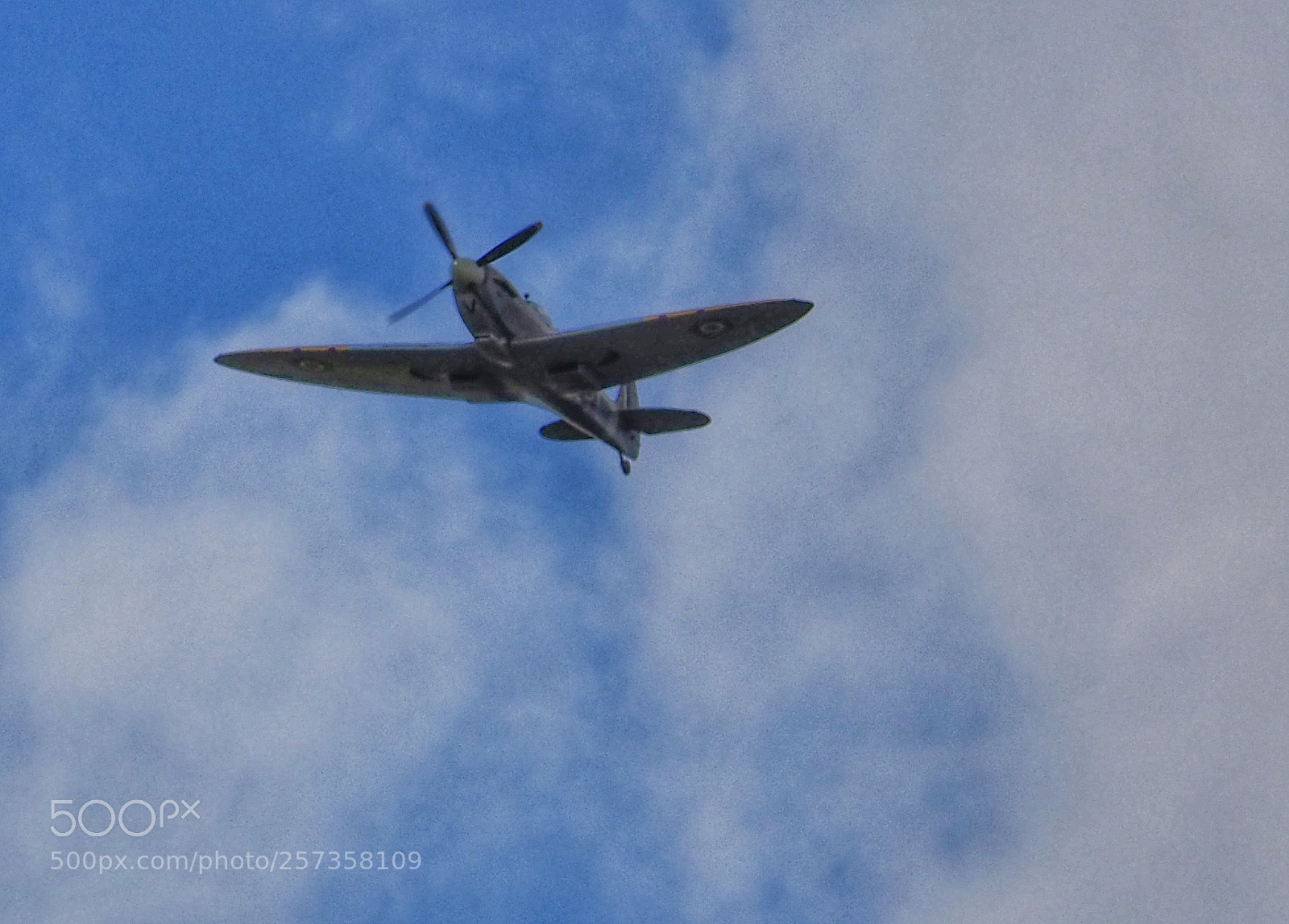 Olympus OM-D E-M10 III sample photo. Training spitfire photography