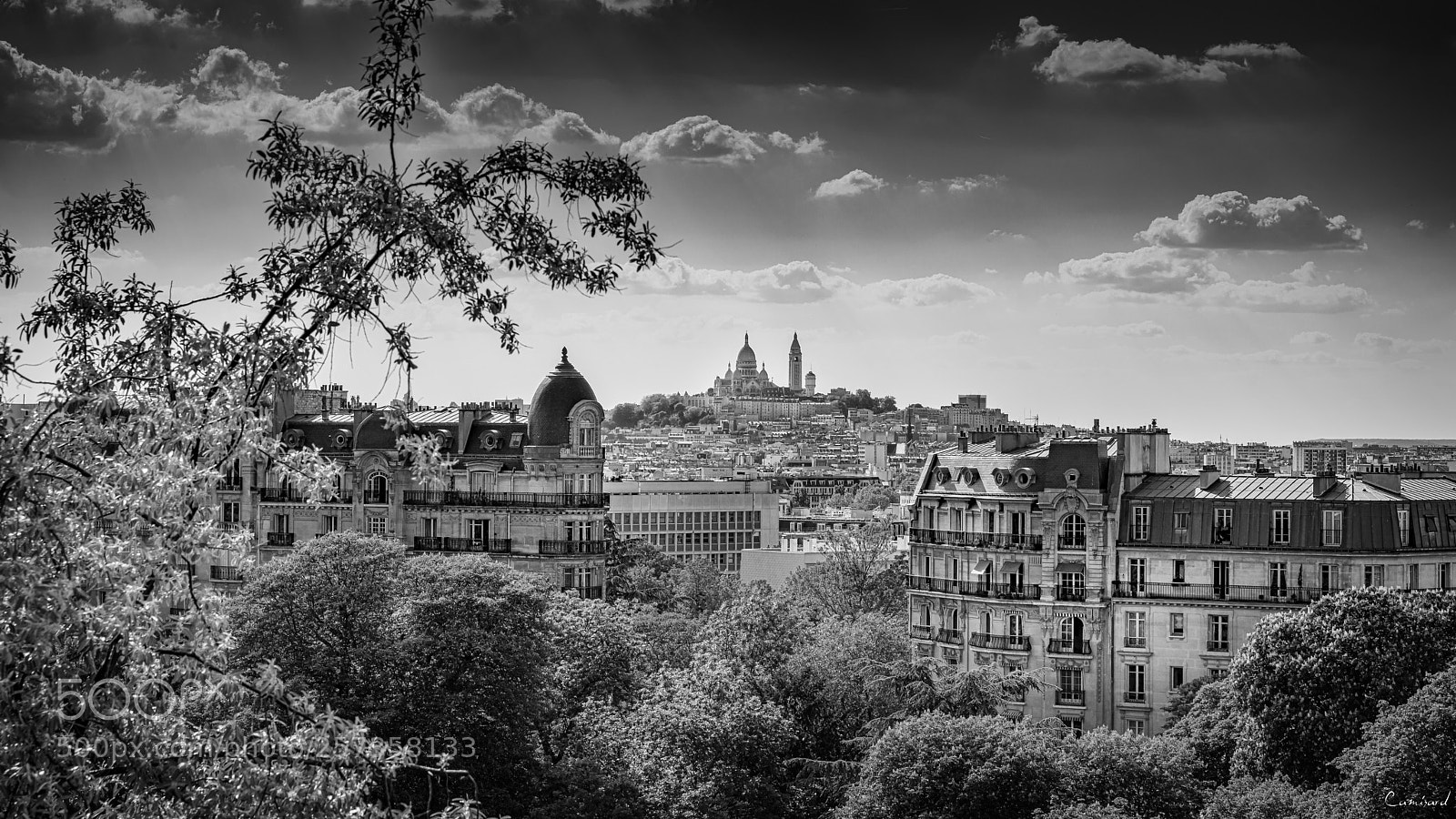 Nikon D800 sample photo. Paris - buttes-chaumont #2 photography
