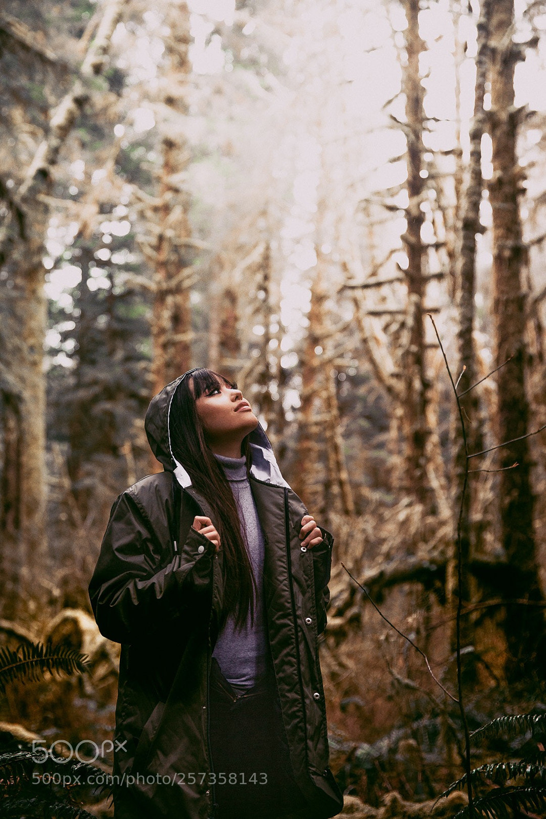 Canon EOS 6D sample photo. Untitled photography