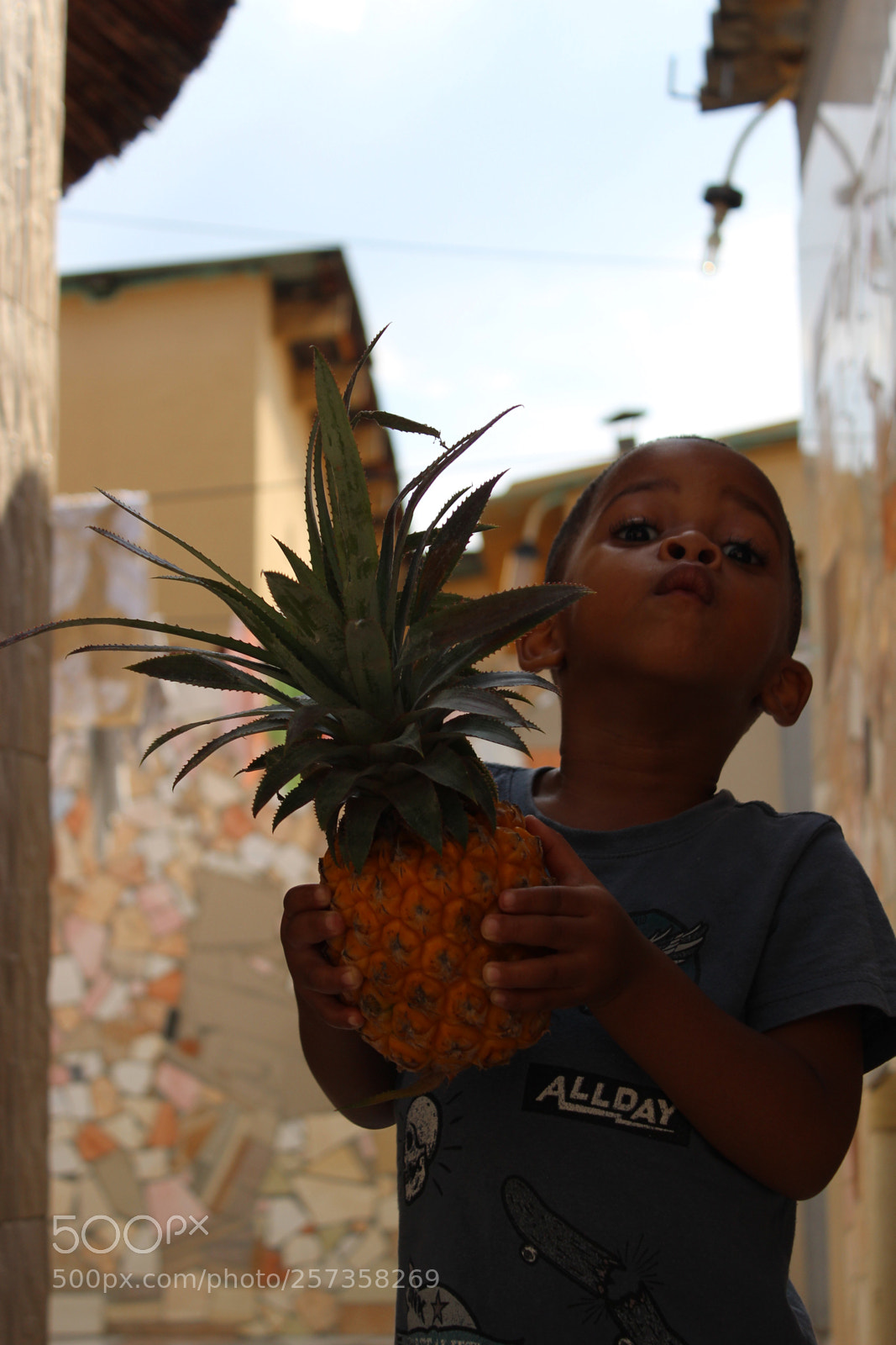 Canon EOS 600D (Rebel EOS T3i / EOS Kiss X5) sample photo. Holding a pineapple photography