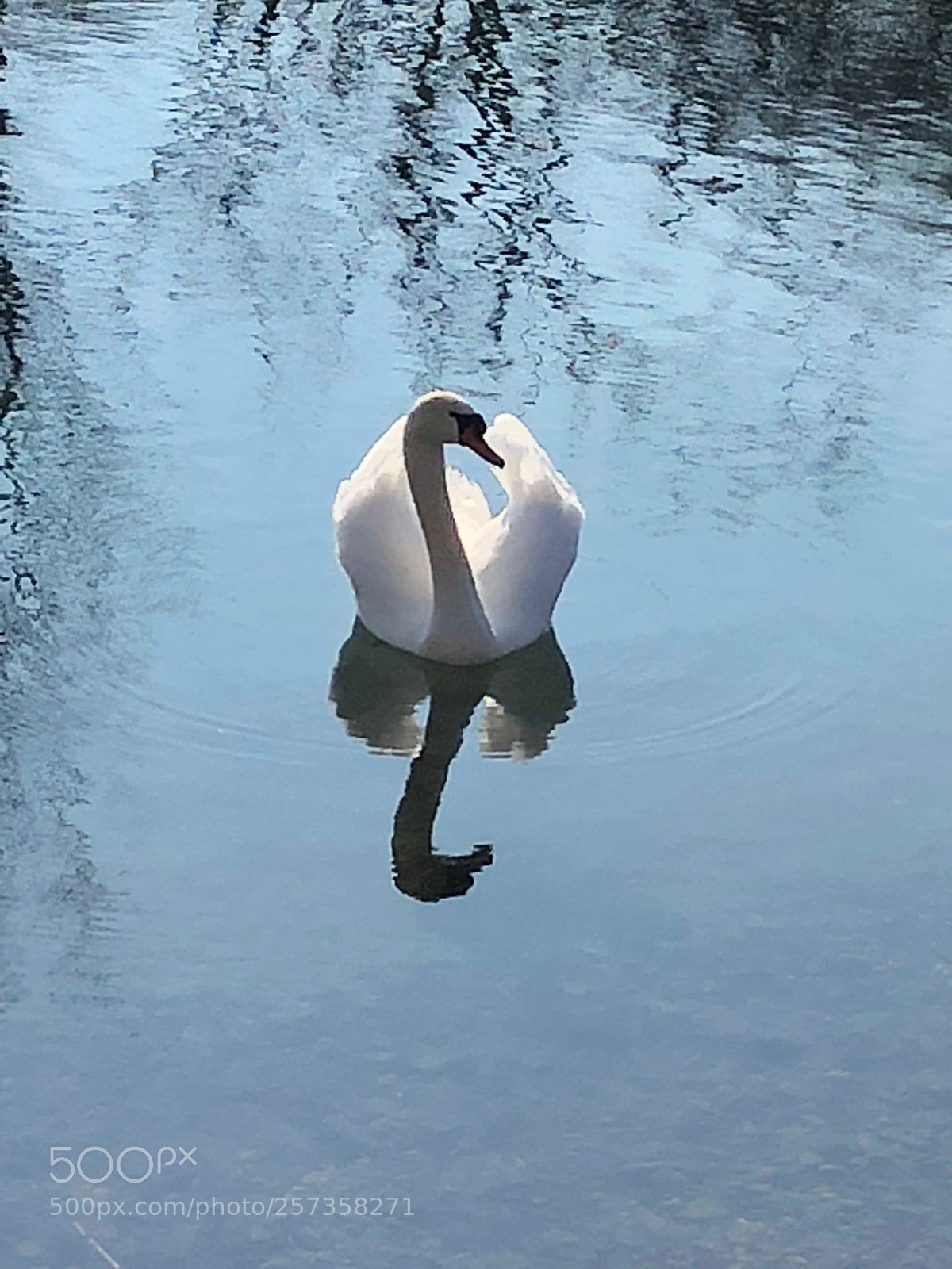 Apple iPhone 8 sample photo. Untitled photography