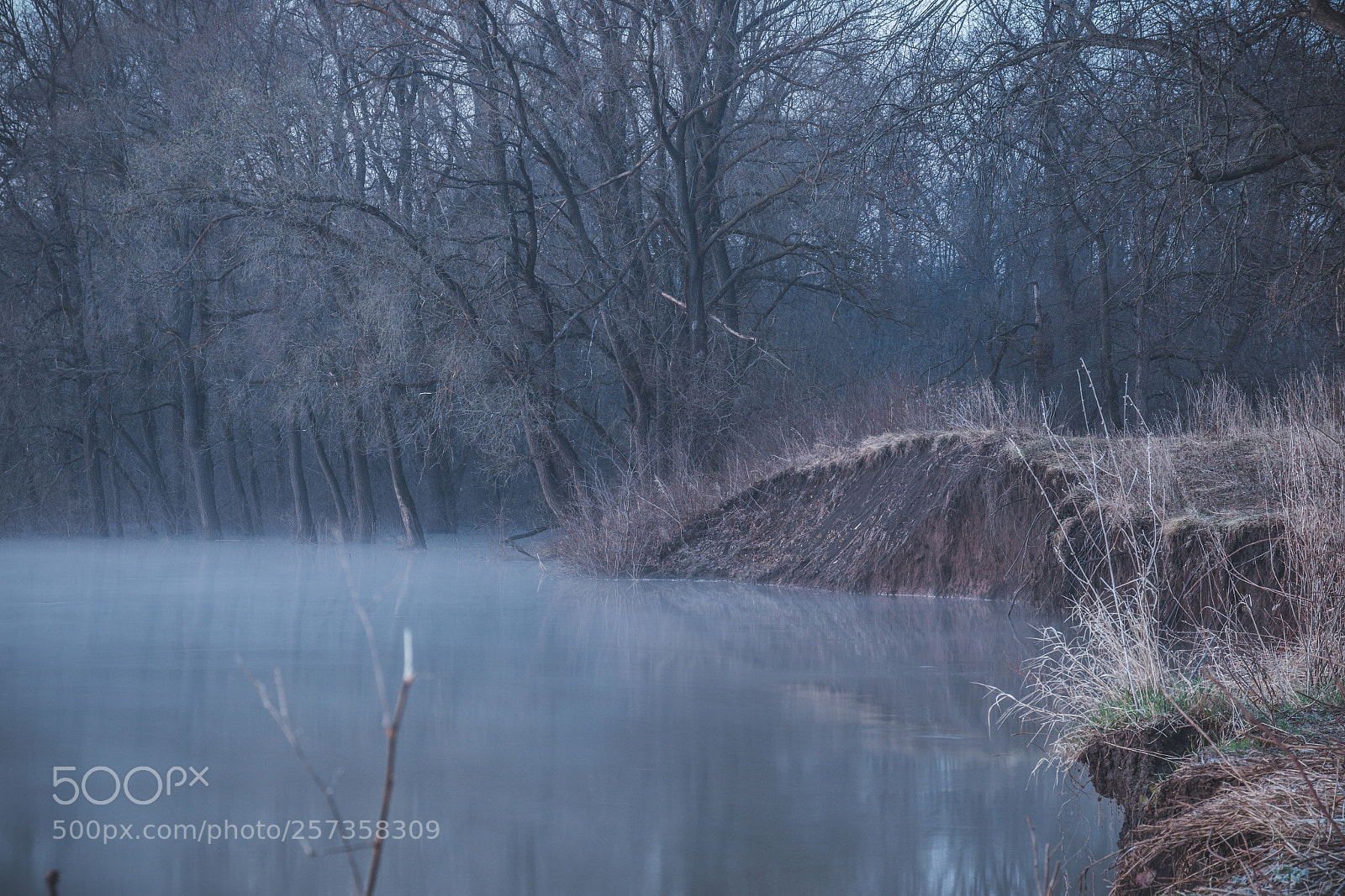 Canon EOS 70D sample photo. Waiting for the sunrise ... photography