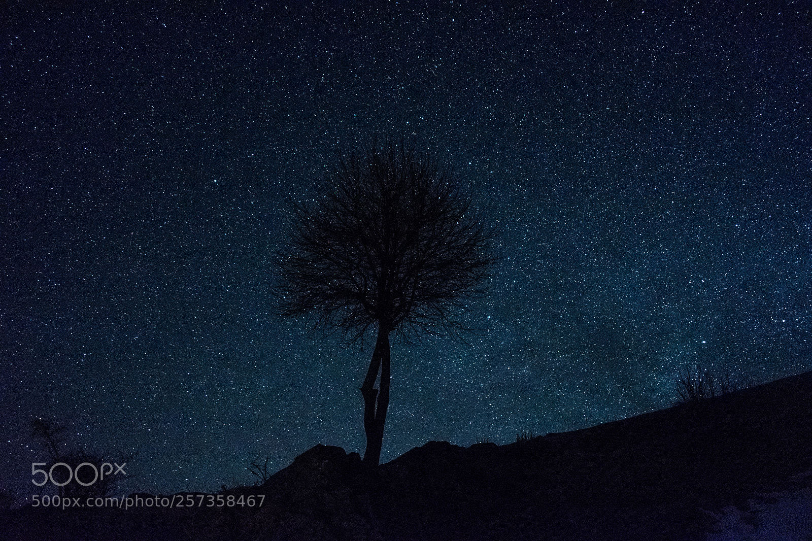 Nikon D5300 sample photo. Stars overloaded photography