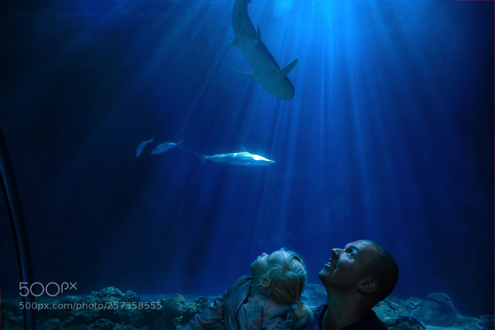 Nikon D7200 sample photo. Oceanium rotterdam
 photography