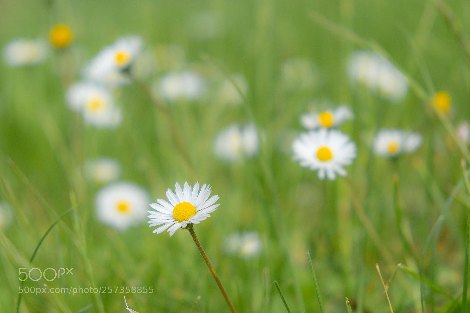 Fujifilm X-T20 sample photo. In the field photography