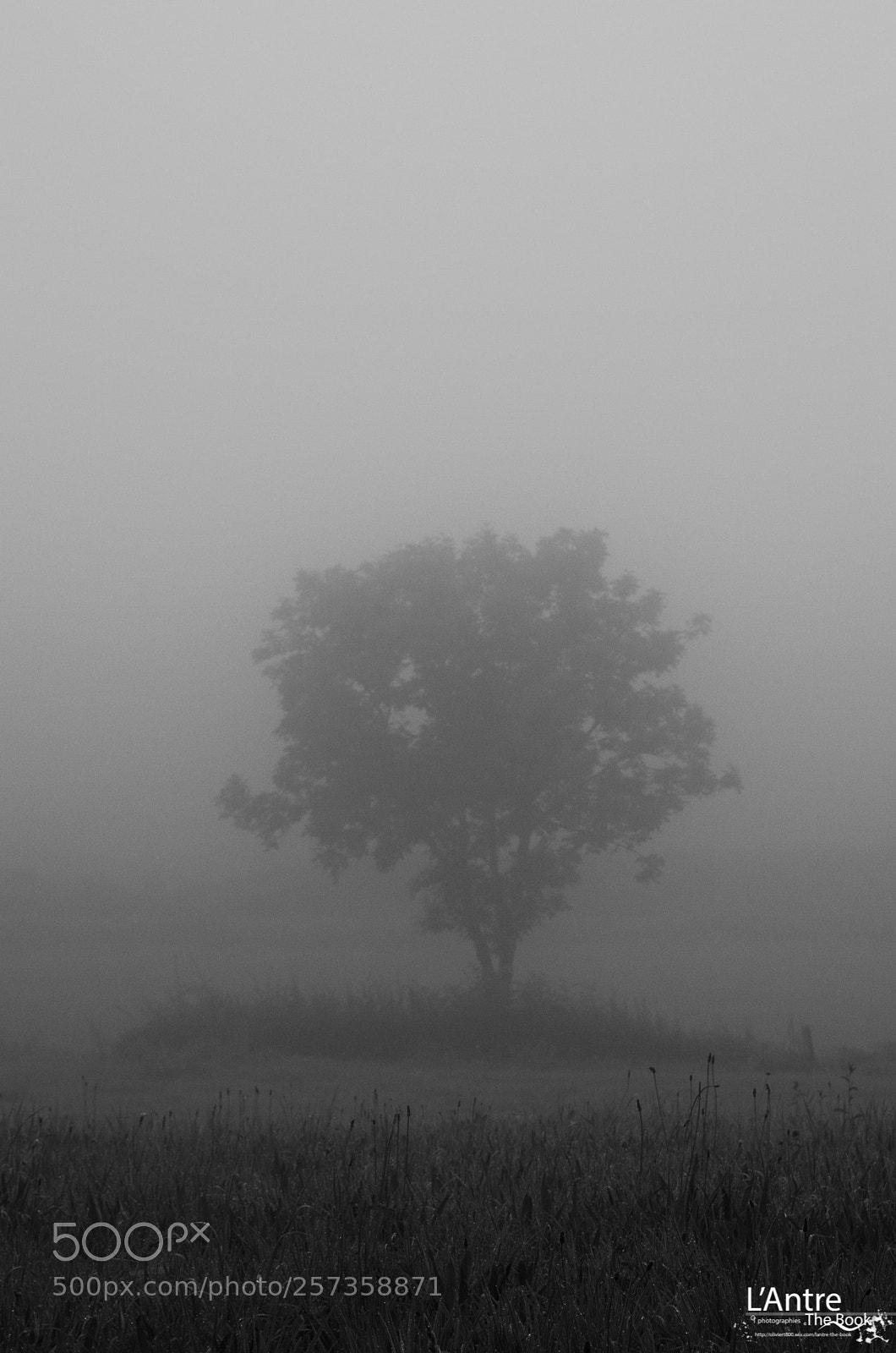 Pentax K-5 II sample photo. Fog photography