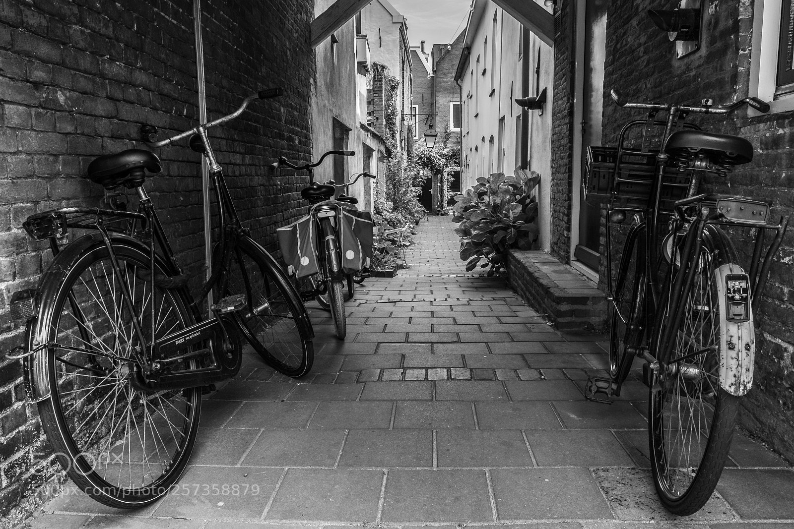 Fujifilm X-T20 sample photo. Parking photography
