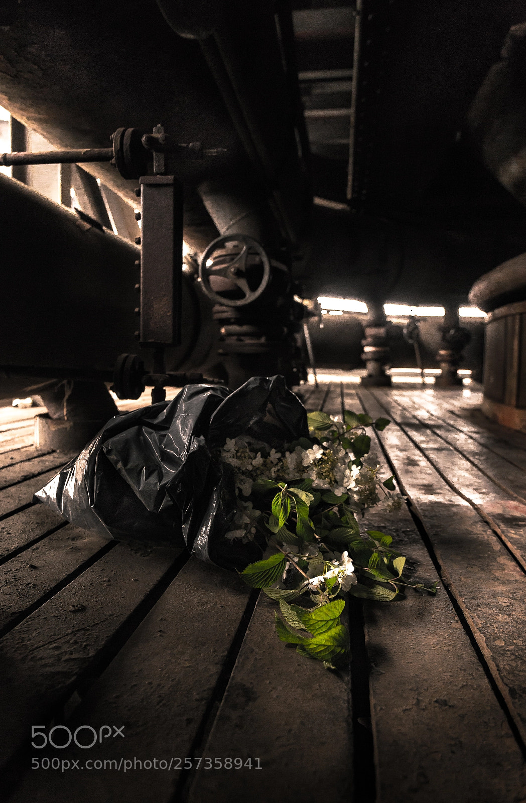 Canon EOS 6D sample photo. Trash or not? photography