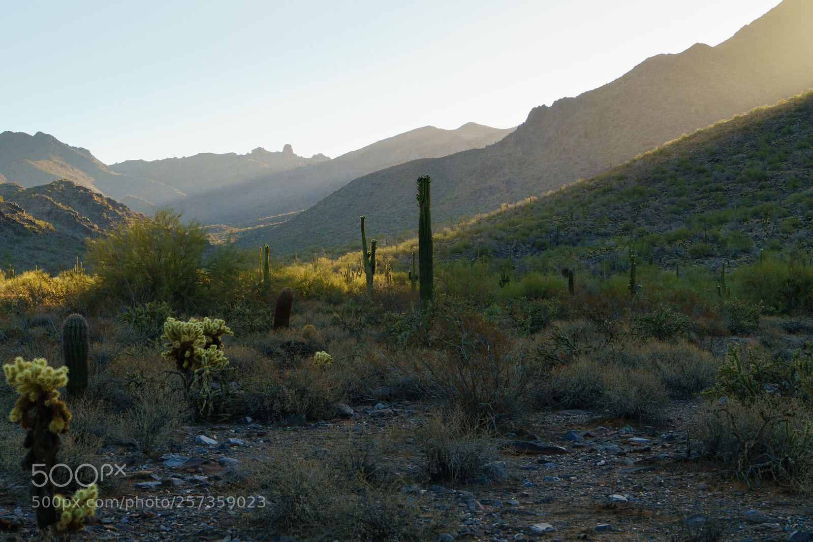 Sony a7R II sample photo. No ddc photography