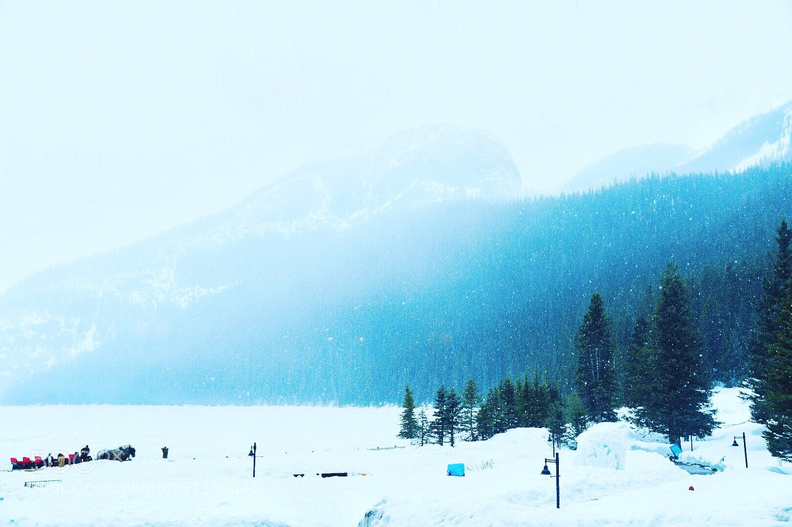 Nikon D750 sample photo. Icy blue photography