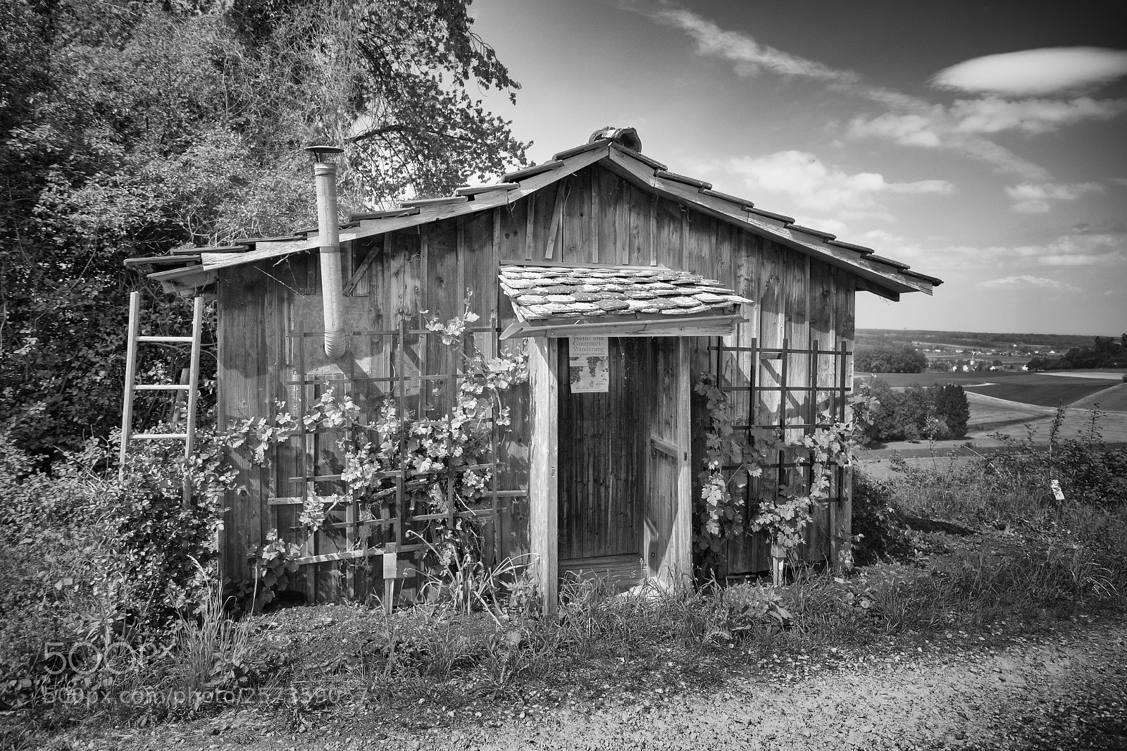 Canon EOS 7D Mark II sample photo. 20180505-ul6a4818-bearbeitet-bearbeitet photography
