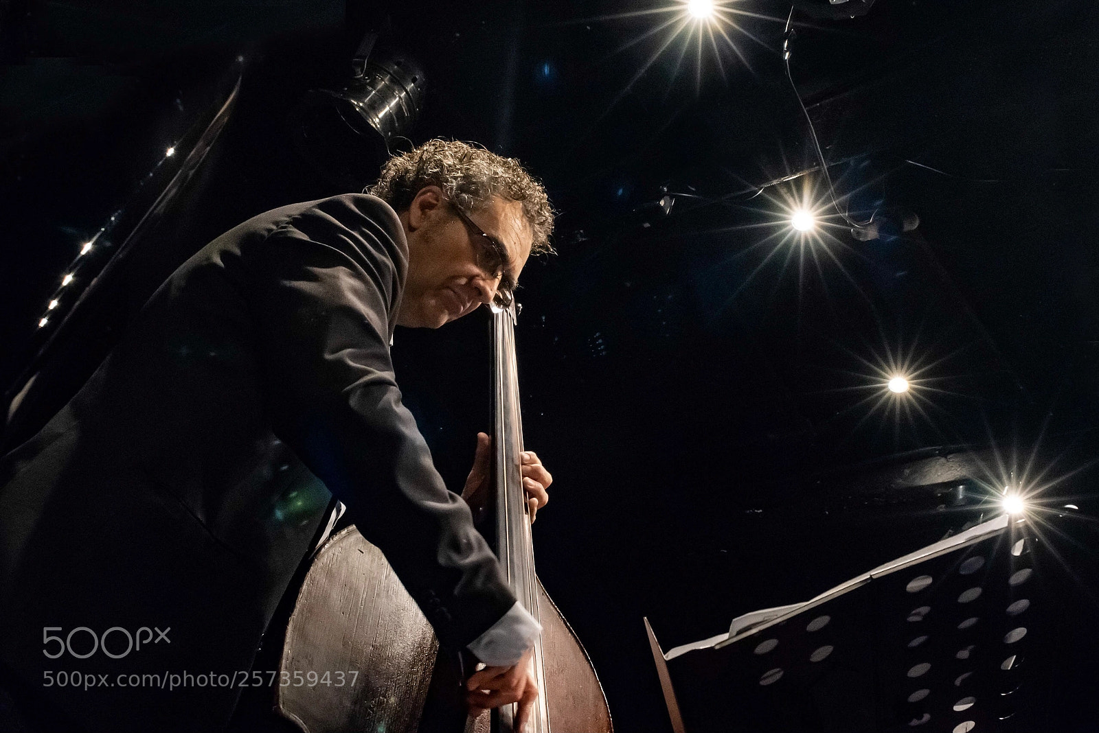 Nikon D750 sample photo. Acoustic bass photography