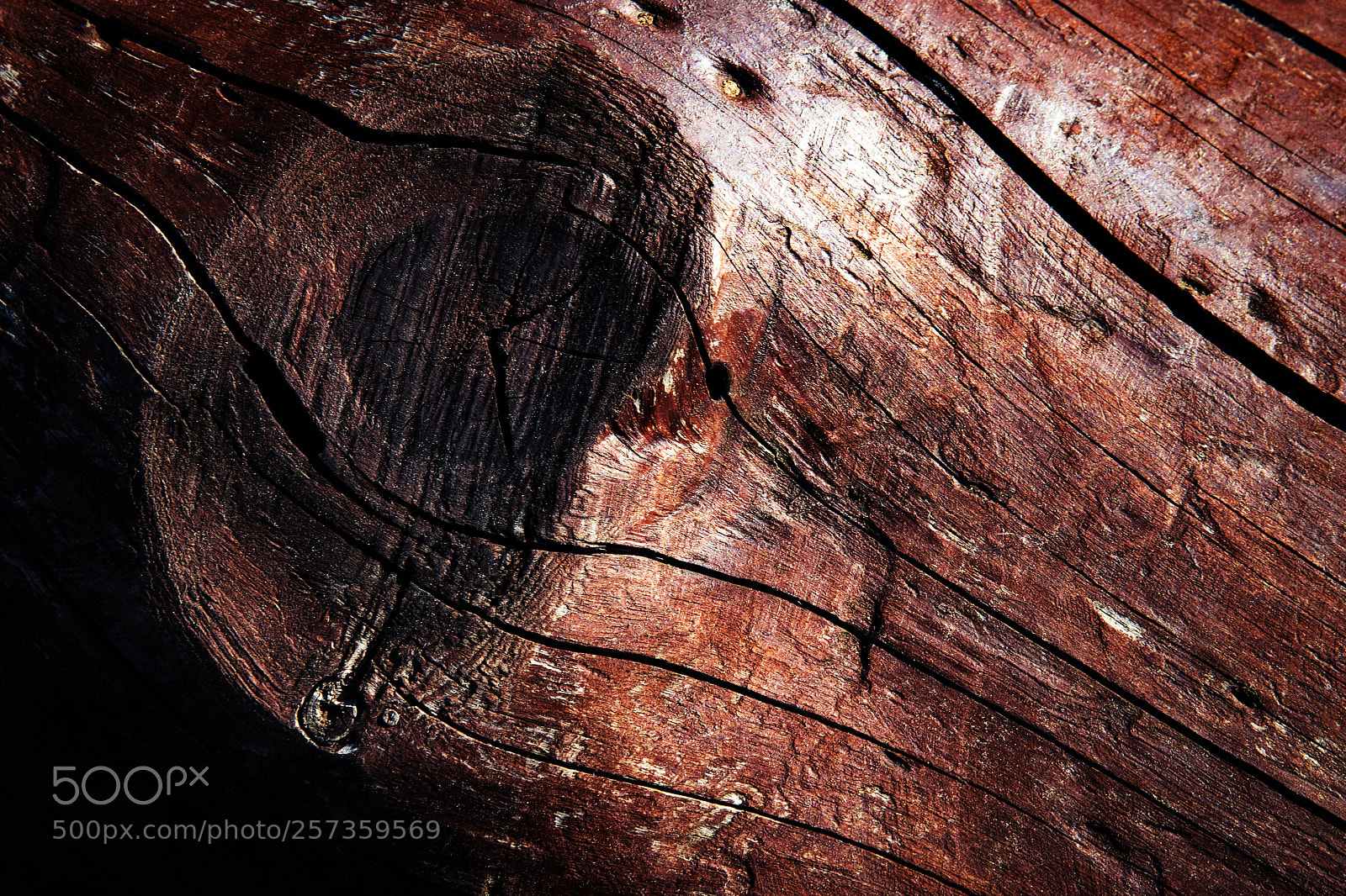 Nikon D5500 sample photo. Wooden trunk with color photography
